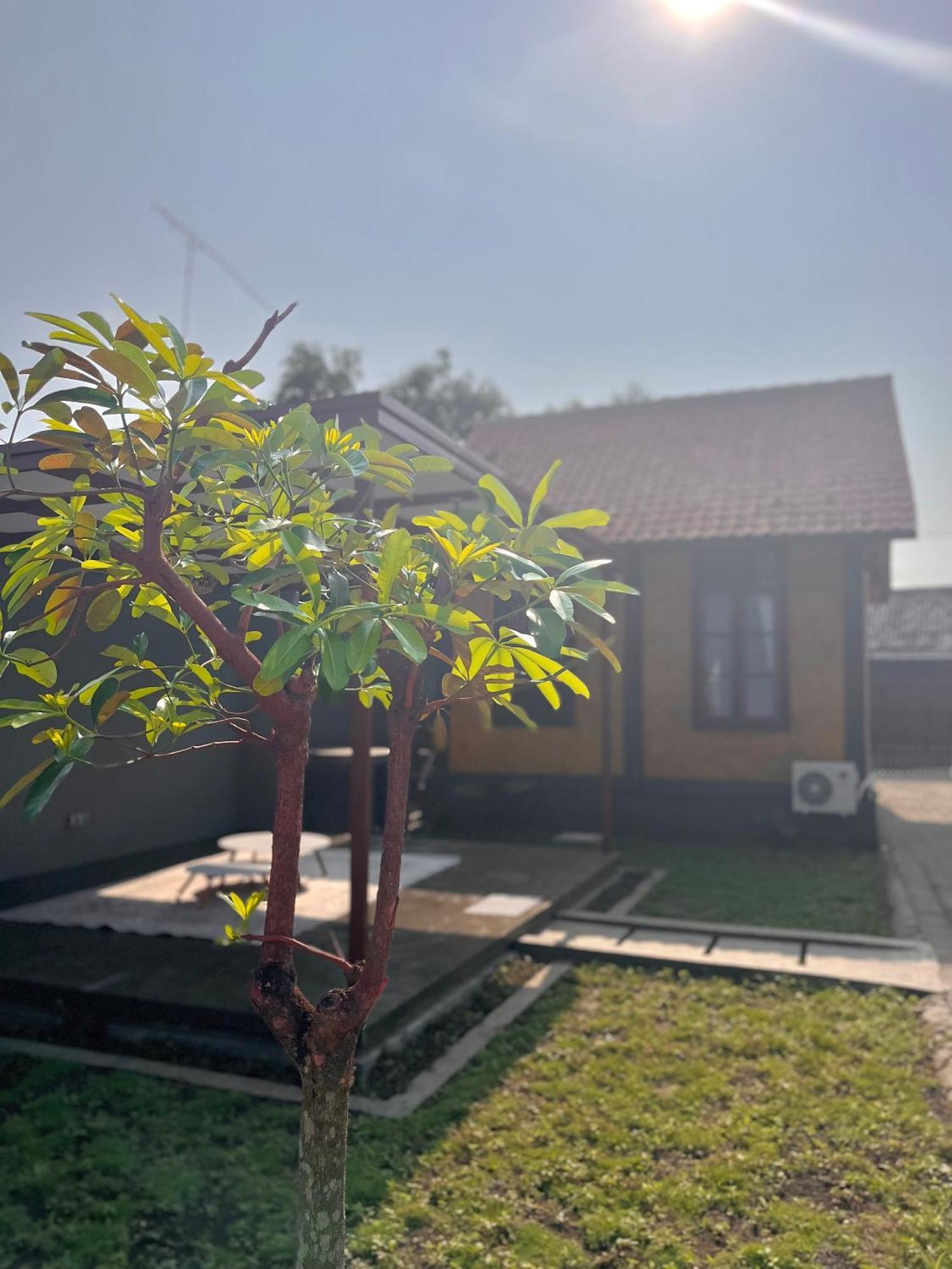 Joglo Homestay Banyuwangi Banyuwangi  Exterior foto